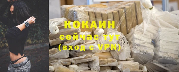 твердый Арсеньев