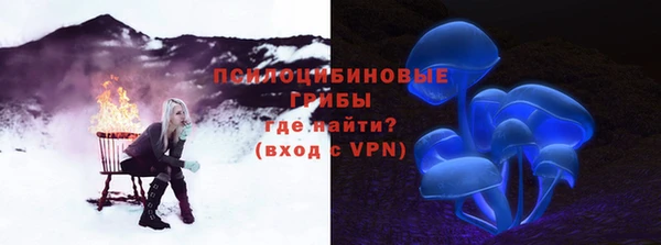 твердый Арсеньев