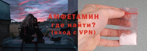 твердый Арсеньев